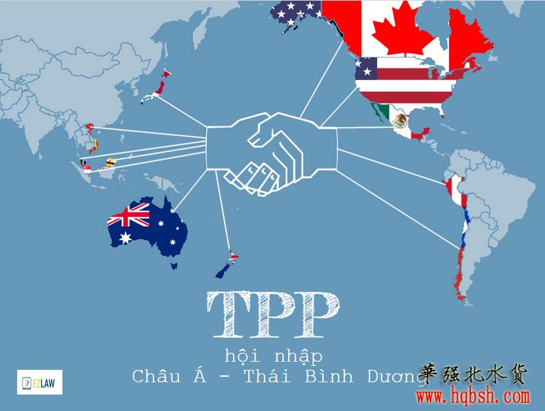 TPP 4.jpg